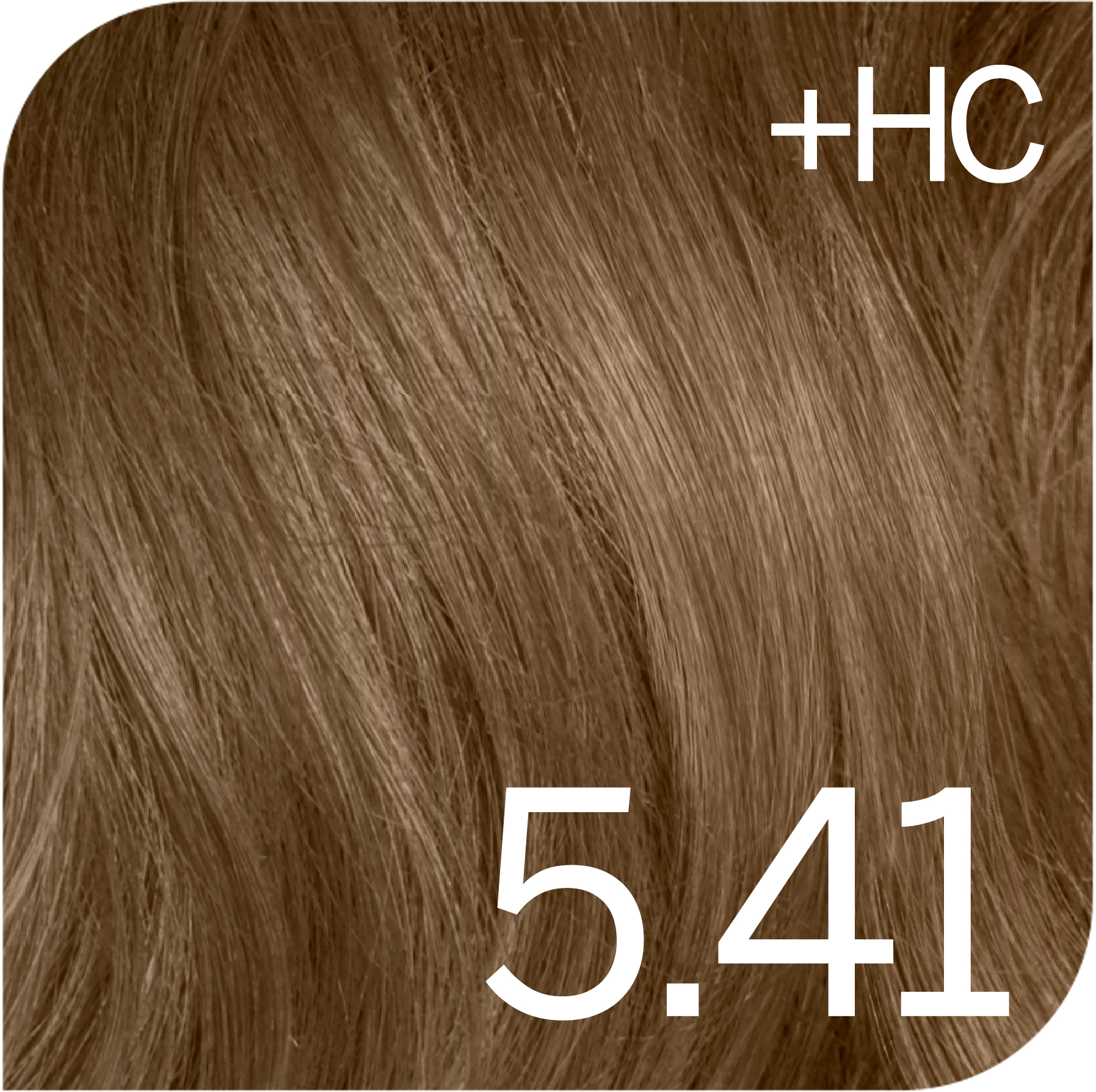 Light Chestnut Ash Brown