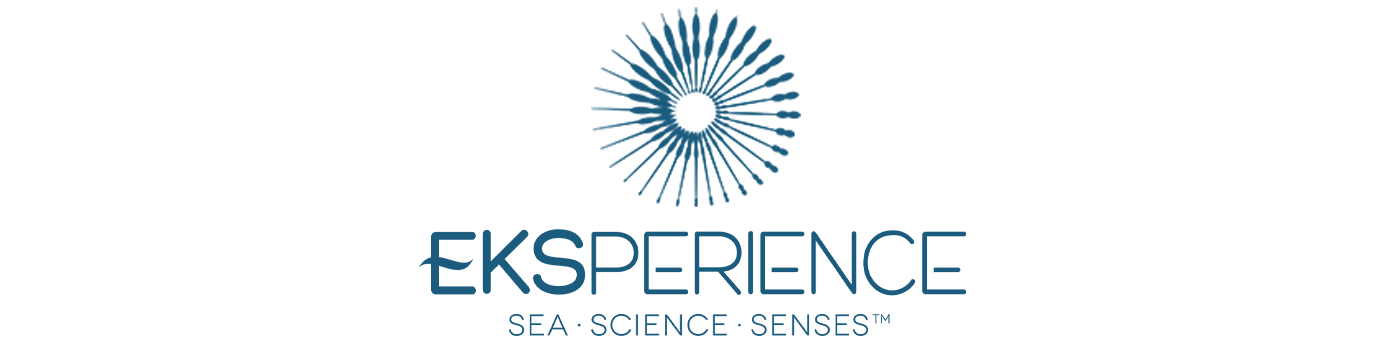 Eksperience™