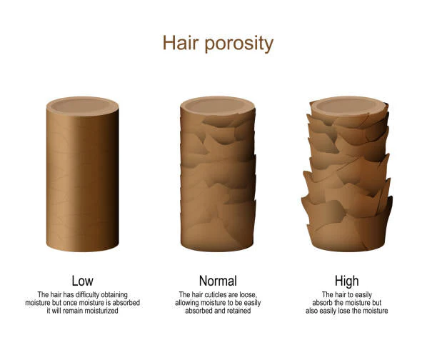 Hair porosity