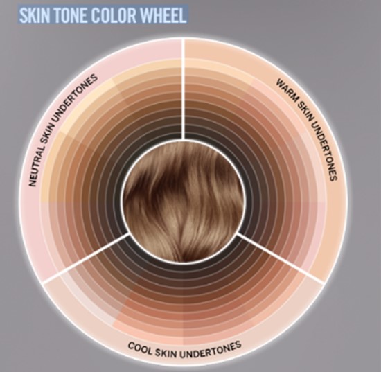 graphic of skin undertones