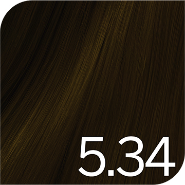 Light Golden Copper Brown